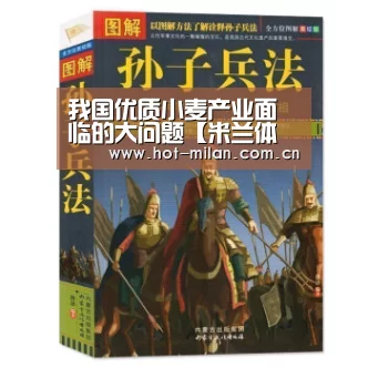 我国优质小麦产业面临的大问题【米兰体育下载】(图4) 米兰体育下载