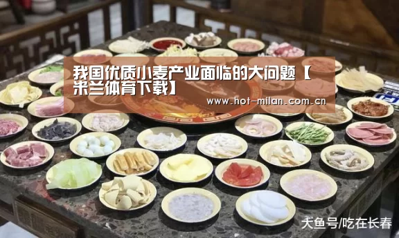 我国优质小麦产业面临的大问题【米兰体育下载】(图2) 米兰体育下载