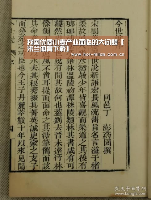 我国优质小麦产业面临的大问题【米兰体育下载】(图3) 米兰体育app